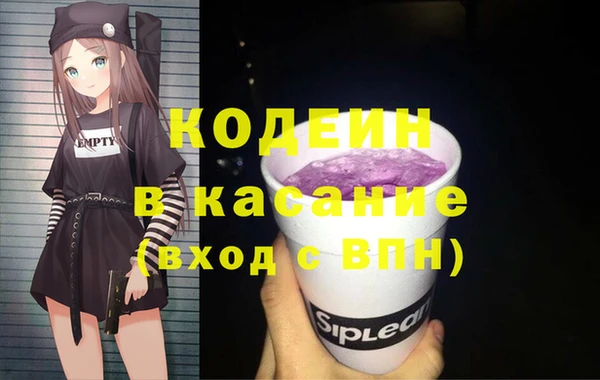 мдпв Ельня