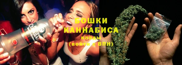 мдпв Ельня