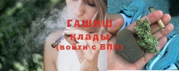 мдпв Ельня