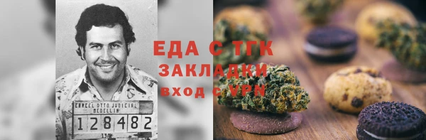 мдпв Ельня