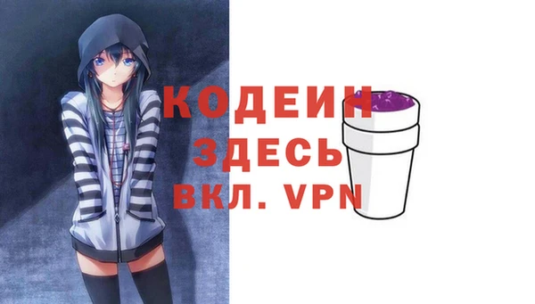 мдпв Елизово