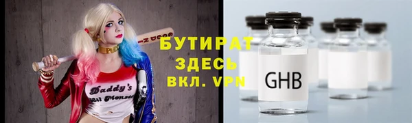 мдпв Ельня