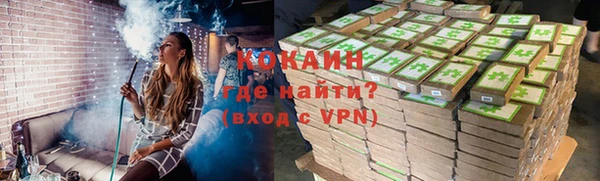 мдпв Елизово