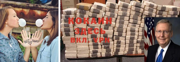 мдпв Ельня