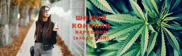 молекула духа Зеленодольск